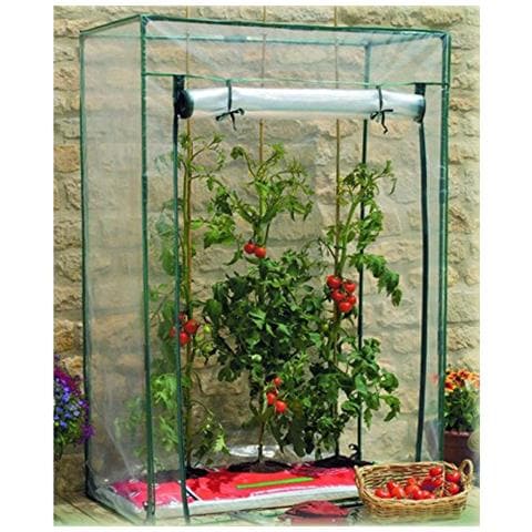 Serra Per Pomodori - Foto 2
