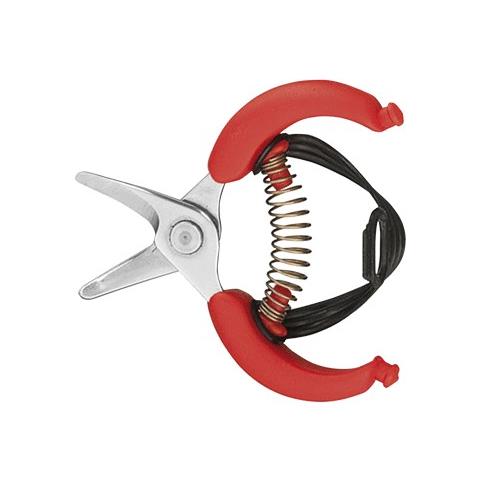 Forbici Cogliagrumi - Cm 10 - Foto 2