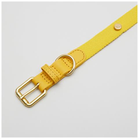 Collare Per Cani Giallo - Xl - Foto 2