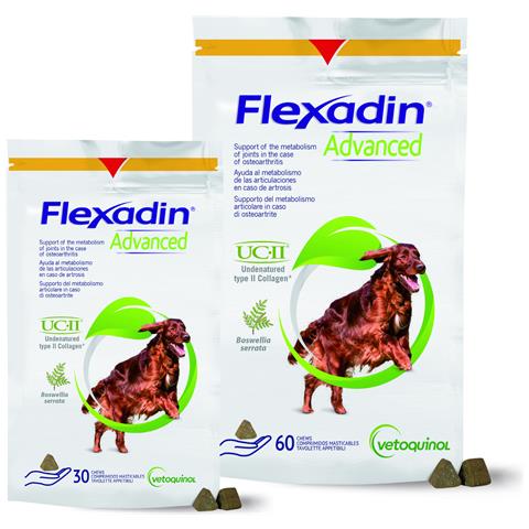 Flexadin Advanced Cane Compressa masticabile - Foto 3