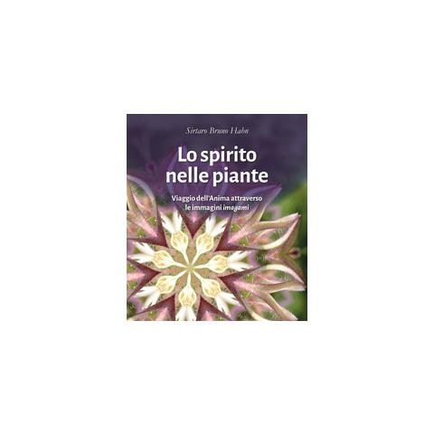 Sirtaro Bruno Hahn - Lo spirito nelle piante. Viaggio dell'anima attraverso le immagini «imagami» - Foto 2