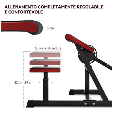 Panca Romana 2 in 1 per Curl e Tricipiti con Sedile a 5 Livelli e 25 Regolazioni, Nero - Foto 2