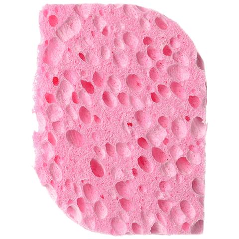 Esponja Desmaquilladora Celulosa Poro Ab Ierto 1 Pz - Foto 1