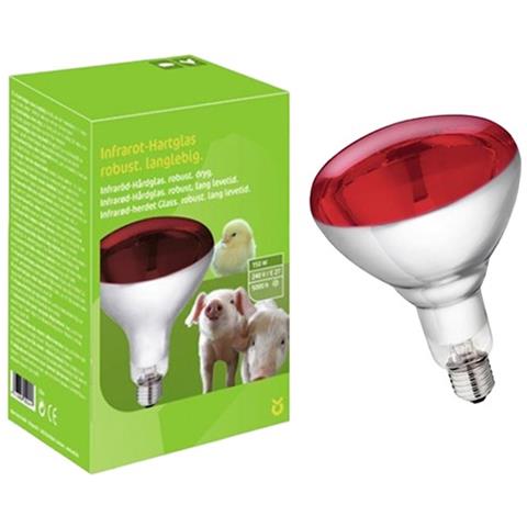 Lampada infrarossi per cuccioli distanza