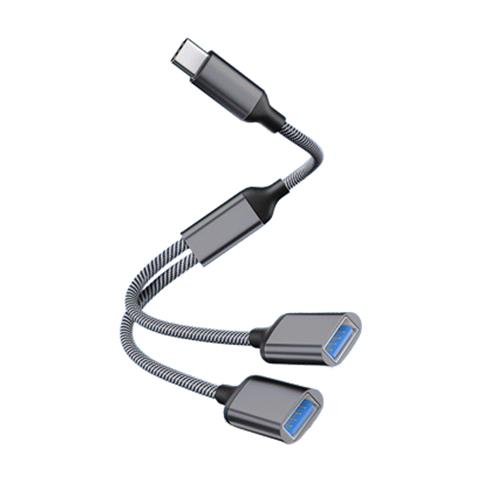 Adattatore Da Tipo C A Doppio Usb 2.0 Grey - Foto 1