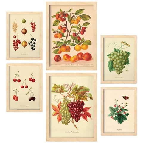 Set Di 6 Stampe Bacche In Stampe Vintage, Dipinti Decorativi Estetici Per Il Tuo Soggiorno, Camera Da Letto, Casa A3 & A4 Telaio In Legno Chiaro - Foto 1