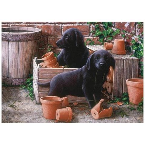 Puzzle Bill & Ben 49 X 34,2 Cm 500 Pezzi - Foto 1