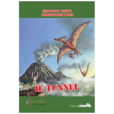 Simonetta Grippi - Il tunnel - Foto 1