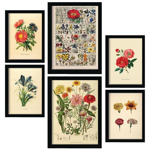 Set Di 6 Stampe Fiori In Stampe Vintage, Dipinti Decorativi Estetici Per Il Tuo Soggiorno, Camera Da Letto, Casa A3 & A4 Senza Cornice - Foto 1