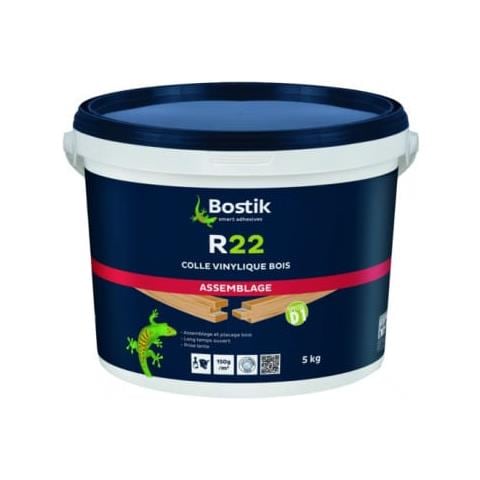 R22 Colla Vinilica 5 Kg - Foto 2