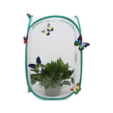 Insetti E Farfalla Habitat Cage Terrario - Pop-up 236 Pollici Di Altezza (bianco)  - Foto 2