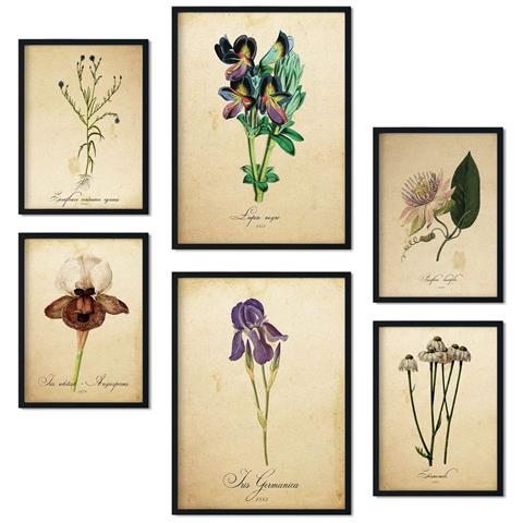 Set Di 6 Stampe Collezione Di Piatti Con Fiori Vintage E Collage Estetico Per La Decorazione D'interni A3 & A4 Cornice Nera - Foto 1