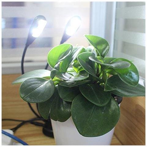 Protable Dual Head Del Basamento Di Musica Leggera Con 2 Flessibile A Collo Di Cigno Arms 4 Led Clip On La Cura Degli Occhi Clip Flessibile Vieni Con Cavo Usb Pi Adatto Per Leggii Alla Brace Scrivania Viaggi Camping - Foto 4