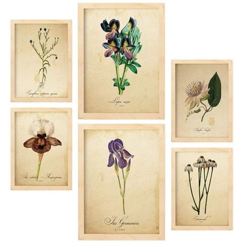 Set Di 6 Stampe Collezione Di Piatti Con Fiori Vintage E Collage Estetico Per La Decorazione D'interni A3 & A4 Telaio In Legno Chiaro - Foto 1