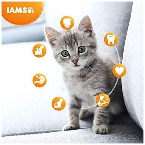 Per Vitalit Kitten Cibo Secco Con Pollo Fresco 800 G - Foto 2