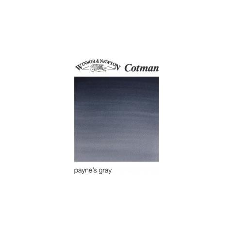 465 Cotman Acquerello 1/2 Godet Grigio Di Payne - Foto 1