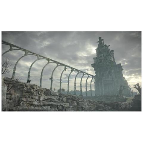 Shadow Of The Colossus Jeu Ps4 - Foto 6