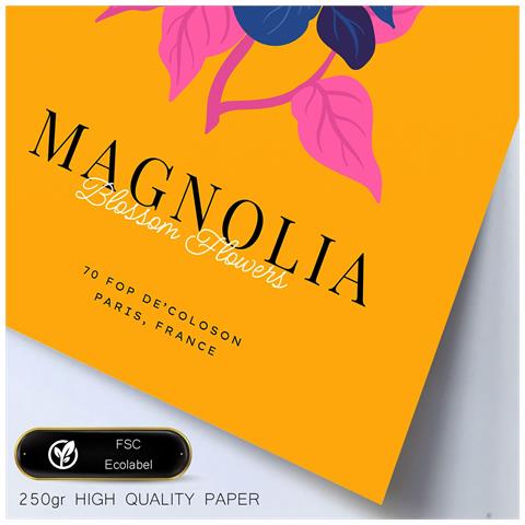 Set Di 6 Stampe Fiori Magnolia Foglie Natura E Stampe Botaniche Per L'interior Design A3 & A4 Senza Cornice - Foto 2