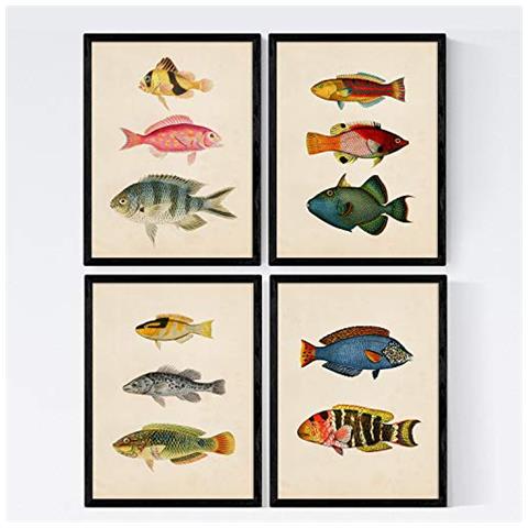 Set Di 4 Stampe Di Effetto Di Pesce Colorato Mediterraneo Composizione Di 11 Diversi Pesci Vecchia Carta Poster Della Priorità Bassa Senza Cornice A4 - Foto 1