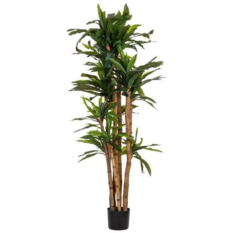 Pianta Dracena Artificiale Decorativa In Vaso 40x30x180h Cm - Foto 2