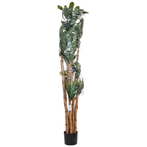 Pianta Dracena Artificiale Decorativa In Vaso 40x30x180h Cm - Foto 7