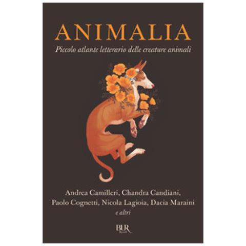 Animalia. Piccolo Atlante Delle Creature Animali - Foto 1