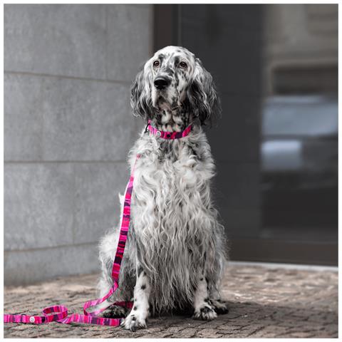Guinzaglio Per Cani Mimetico Rosa - Foto 2