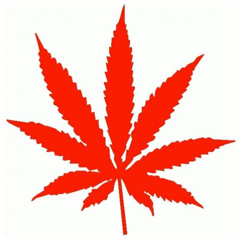 Marijuana - Maria - Adesivo Prespaziato - Colore Rosso - 20cm - Foto 1