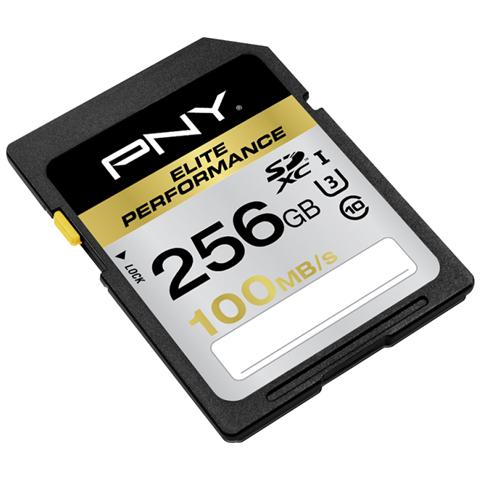 Sdxc 256gb Elite Perf. Class10 Uhs-1 U3 R 100mb / S W 75mb / S - Foto 1
