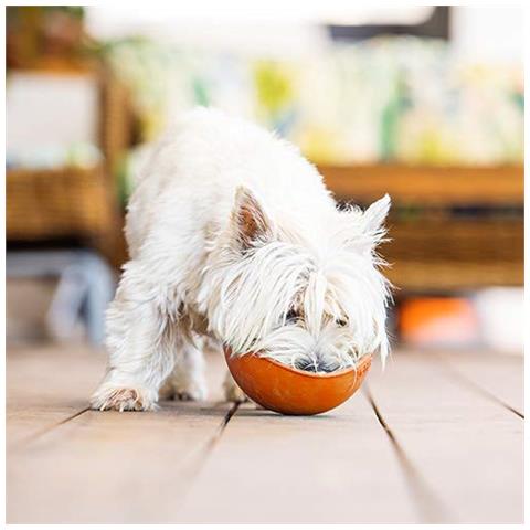 Lickimat Wobble Arancione 223 G - Foto 4