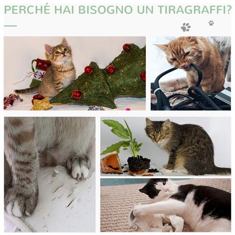 Albero Tiragraffi Per Gatti A Forma Di Cactus Con Corde In Sisal, 40x40x65 Cm, Verde - Foto 2