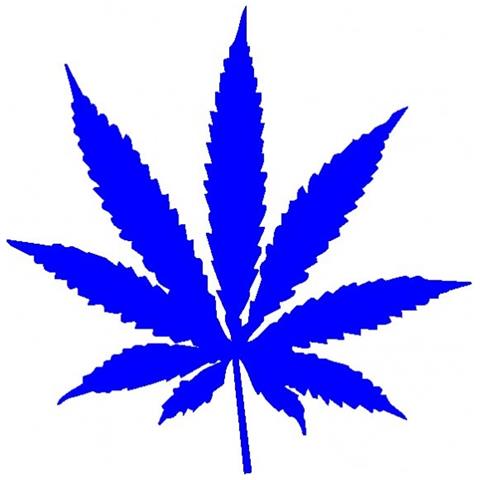 Marijuana - Maria - Adesivo Prespaziato - Colore Blu - 20cm - Foto 1