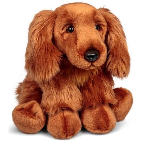 Cup Per Sinistra - Foto 1