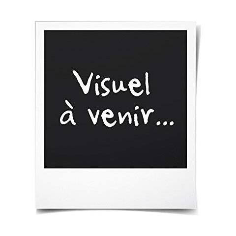 W690 Pistola Per Pittura Ha Bassa Pressione Universale Con Prolunga Soffitti - Foto 2