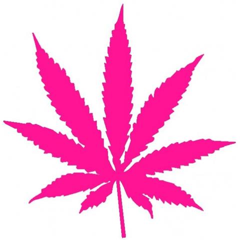 Marijuana - Maria - Adesivo Prespaziato - Colore Fucsia - 20cm - Foto 1