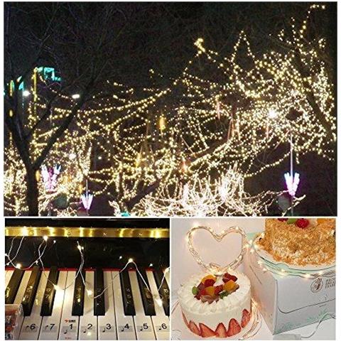 Filo Di Rame Luci Della Stringa Led Batteria Luce Natalizia 10 Pacchetti 3.9ft 1.2m 24 Led Bianco Caldo Impermeabile Per Party Matrimonio Natale Party Camera Da Letto Matrimonio Indoor Outdoor Usa - Foto 4