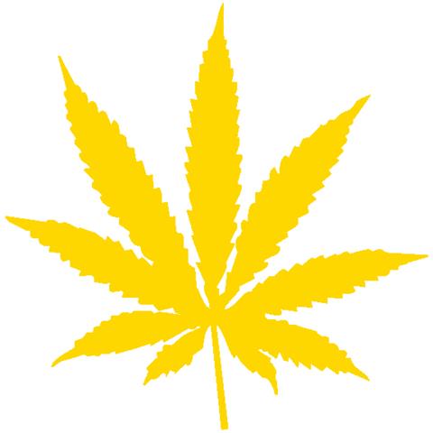 Marijuana - Maria - Adesivo Prespaziato - Colore Giallo - 10cm - Foto 1