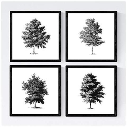Set Di 4 Stampe Fogli Di Alberi. Alberi Belle Corteccia Di , Carta Bianca Di Poster Di Sfondo E Inchiostri Di Alta Qualità Senza Cornice 30x30 Cm - Foto 1