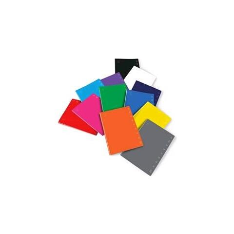 10 Quaderni Monocromo 02298871r Rigatura 1r - Foto 3