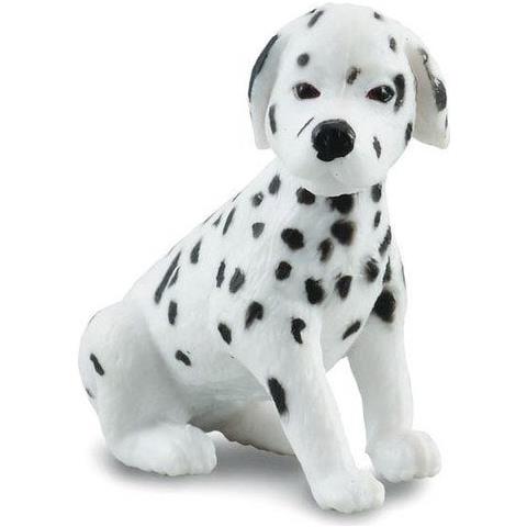 Cucciolo Dalmata - Foto 1