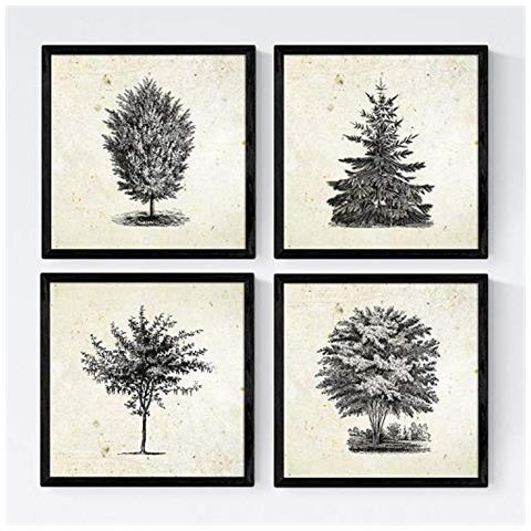 Set Di 4 Stampe Fogli Di Alberi Alberi Del Mondo Di Vintage Vecchio Sfondo Di Carta Poster Carta E Inchiostri Di Alta Qualità Senza Cornice 20x20 Cm - Foto 1