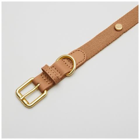 Collare Per Cani Beige - Xl - Foto 2