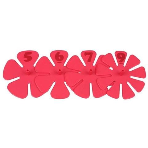 4 Divisori Di Torte - 5, 6, 7 E 9 Pezzi - Foto 2