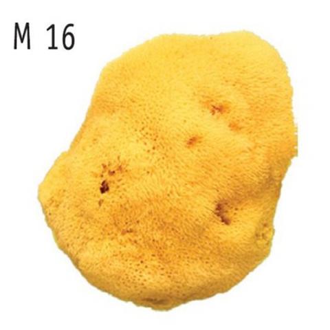 Spugna Naturale Fine Dama - Foto 1
