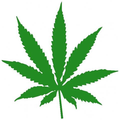 Marijuana - Maria - Adesivo Prespaziato - Colore Verde - 15cm - Foto 1