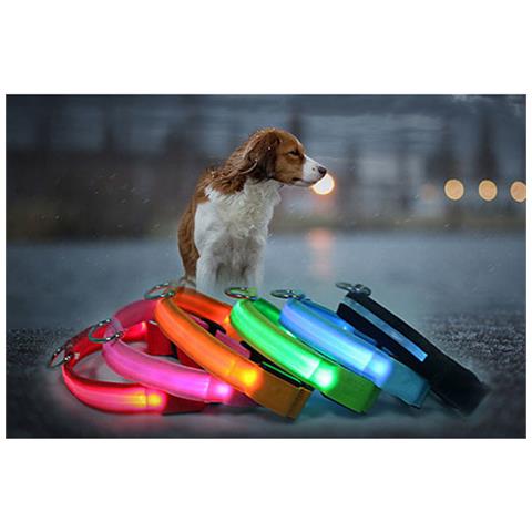 H Tech Collare Per Cani Led Luminoso Regolabile Sicurezza Notturna