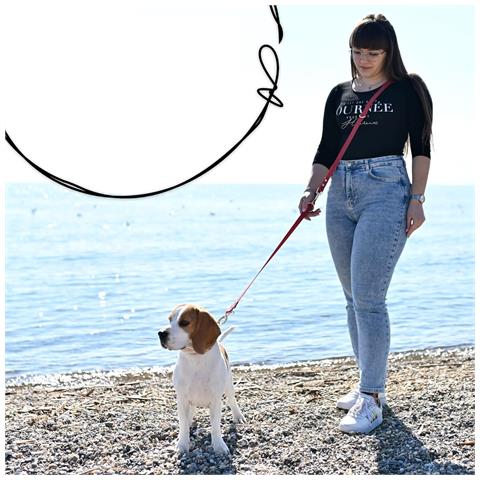 Firstpaw Guinzaglio Per Cani Regolabile Imbottito 2 M Rosso - Foto 2