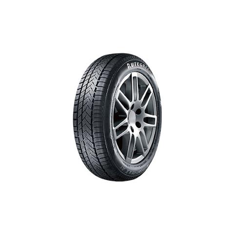 Pneumatico Winter-max A1 Wl5 M+s 3pmsf 205/55r16 91h - Invernale - Foto 1