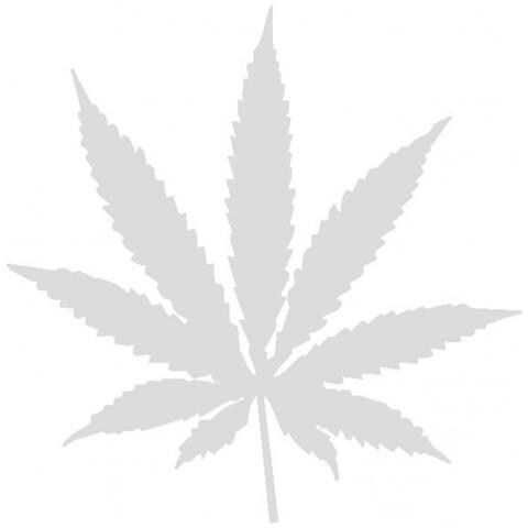 Marijuana - Maria - Adesivo Prespaziato - Colore Argento - 20cm - Foto 1