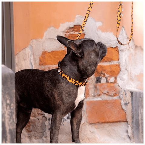 Guinzaglio Per Cani Leone - Foto 3